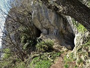 CANTO ALTO in direttissima la prima volta per sentieri insoliti da sopra casa-Zogno (8apr21) - FOTOGALLERY